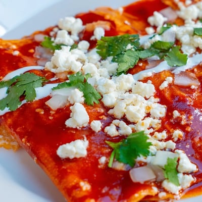 Mexican Entomatadas with Tomato Sauce